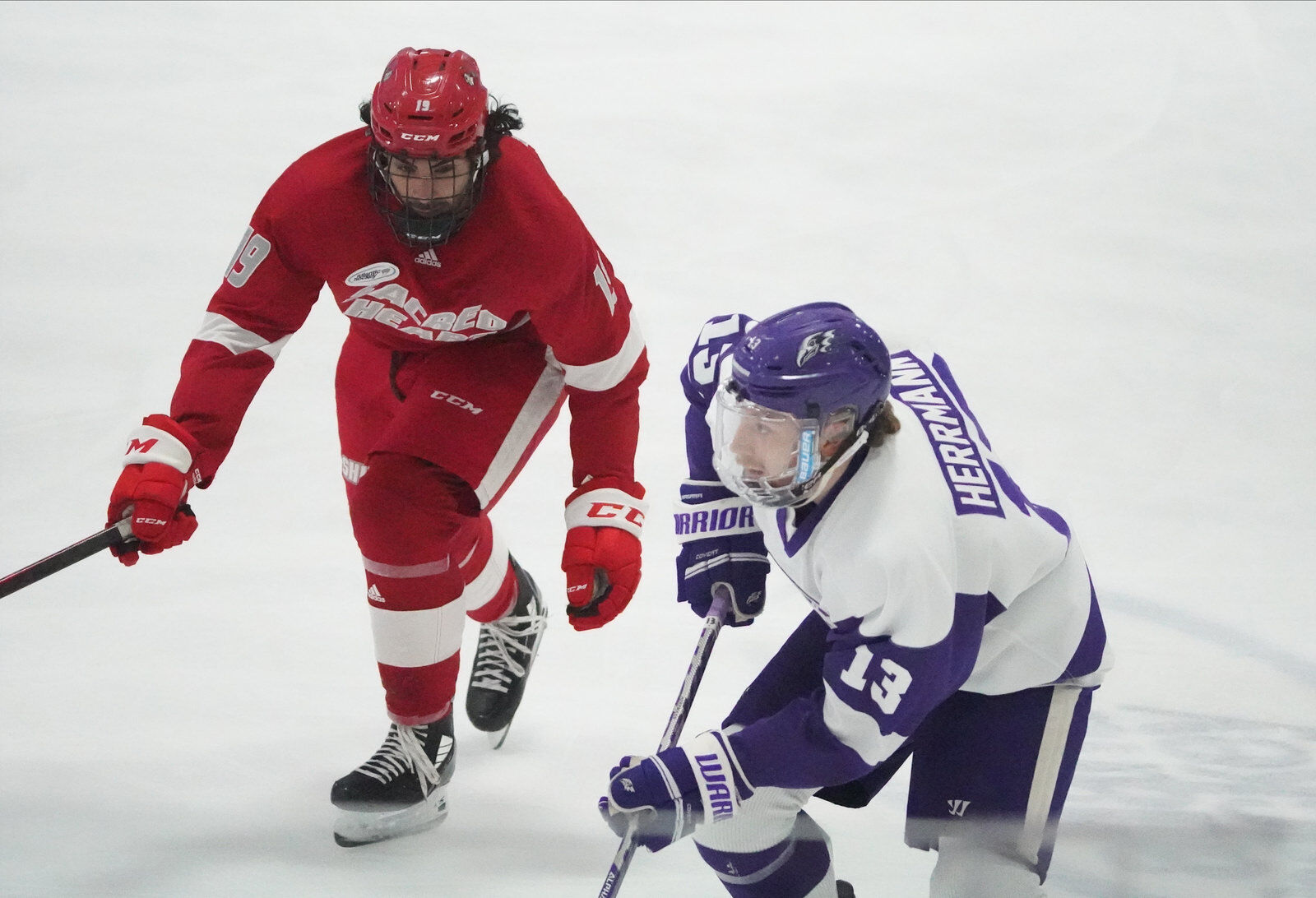 Niagara hockey faces Sacred Heart in an AHA game